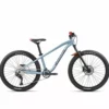 BICICLETA INFANTIL ORBEA LAUFEY 24 H30 2022