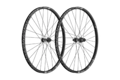 Dt-swiss RUEDA DT SWISS E1900 SPLINE 29" 30 MM